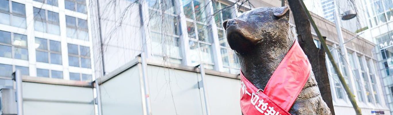 Hachiko conoce a Frida: el agradecimiento de México a Japón.