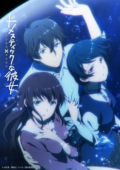 Review Domestic na Kanojo