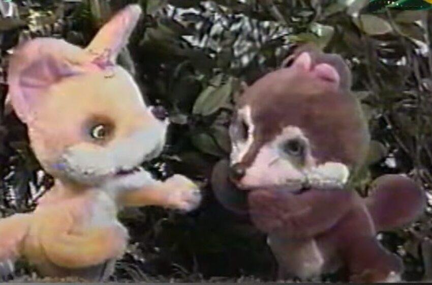 Me lo contaron en Japón: La zorrita Kon y el tejoncito Pon